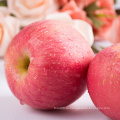Top Grade Fresh Apple для Red Fuji Apple